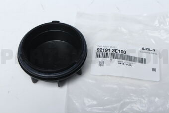 921913E100 CAP ASSY-DUST