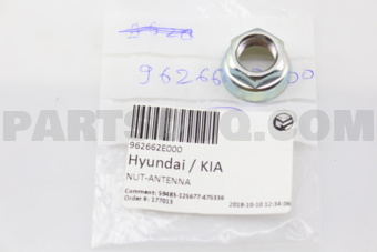 962662E000 NUT-ANTENNA