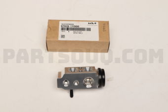 976261Y000 VALVE-EXPANSION