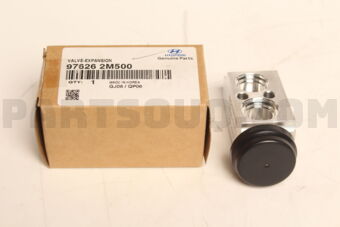 976262M500 VALVE-EXPANSION