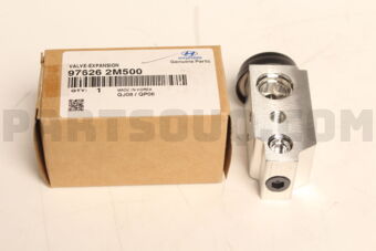 976262M500 VALVE-EXPANSION