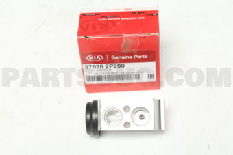 976262P200 VALVE-EXPANSION