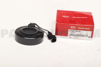 976413X100 COIL-FIELD