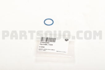 976904D800 O-RING