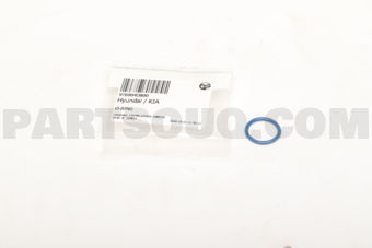 976904D800 O-RING