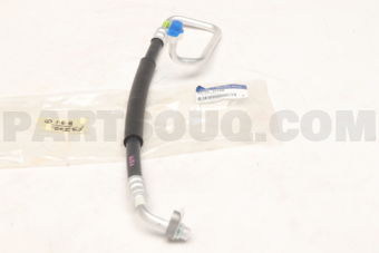977621C250 HOSE-DISCHARGE