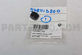 978111D200 CAP-CHARGE VALVE, LOW