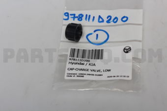 978111D200 CAP-CHARGE VALVE, LOW