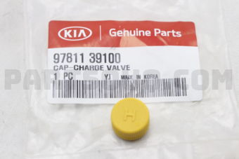 9781139100 CAP-CHARGE VALVE