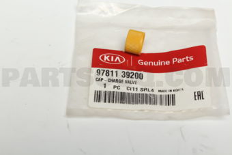 9781139200 CAP-CHARGE VALVE