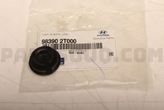 983902T000 CAP W/S WPR ARM