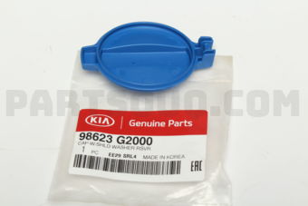 98623G2000 CAP-W/SHLDWASHERRS