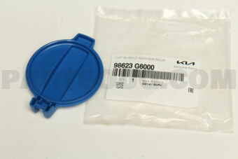98623G6000 CAP-W/SHLDWASHERRS