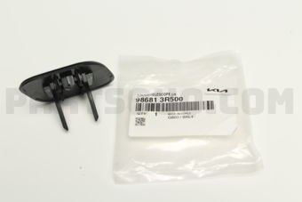 986813R500 COVER WASHER