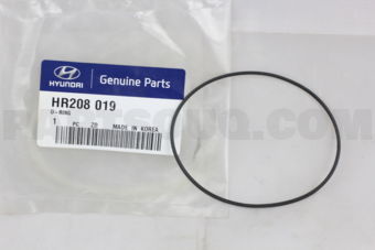 HR208019 O-RING