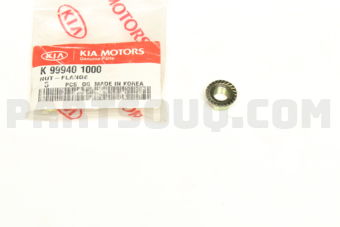 K999401000 NUT-FLANGE