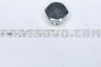 QDS1571520001 PLUGDRAIN(20)