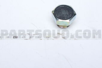 QDS1571520001 PLUGDRAIN(20)