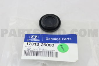 1731325000 PLUG