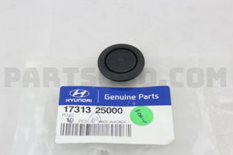 1731325000 PLUG