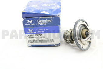2550035531 THERMOSTAT ASSY