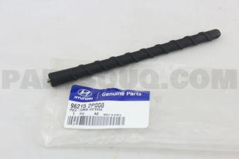 962152P000 POLE-COMBI ANT