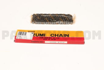 13506B1010 TIMING CHAIN