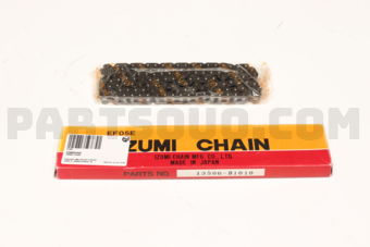 13506B1010 TIMING CHAIN
