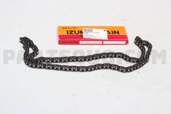 S10275010 TIMING CHAIN