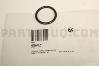 1096230570 GASKET; STRA