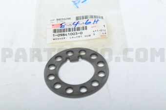 1098410030 WASHER; LK,F