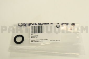 1099851890 WASHER; LK,P
