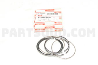 1191630430 RING KIT; PI