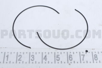 8944480450 SPRING; INSE