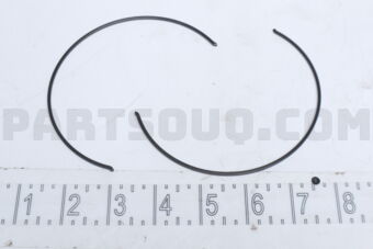 8944480450 SPRING; INSE