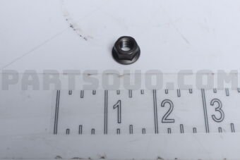 8971616070 NUT; TURBOCHARG