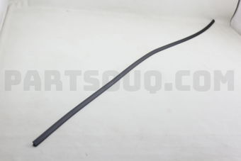 8973609090 MOLDING
