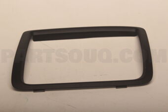 8976115302 BEZEL; BUMPER