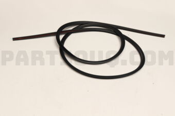 8980290781 MOLDING; WINDSH