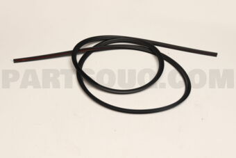 8980290781 MOLDING; WINDSH