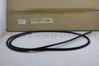 8980290791 MOLDING; WINDSH