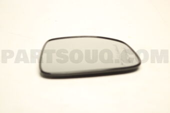8981936780 Mirror; Door