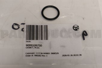 9099209750 GASKET; PLUG