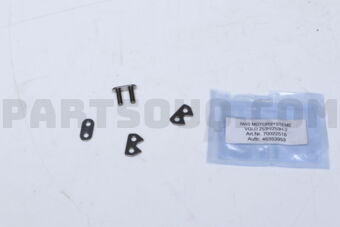 70022518VGLD TIMING CHAIN LINK DB M271 CGI