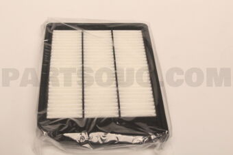 A29002 AIR FILTER J24B