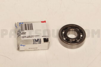 6304CM BEARING