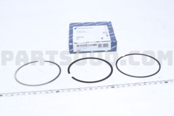 800122310000 RING BMW N63/F01,F10,E70,E71