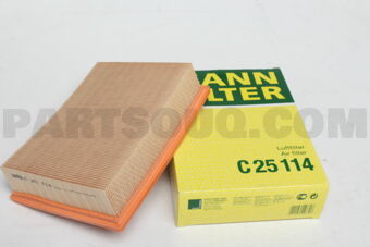 C25114 AIR FILTER E36/E46/E39 #