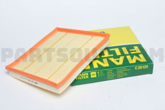 C28125 AIR FILTER -5(F10/F18) #