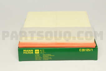 C281251 AIR FILTER ELMT-X5(E70)